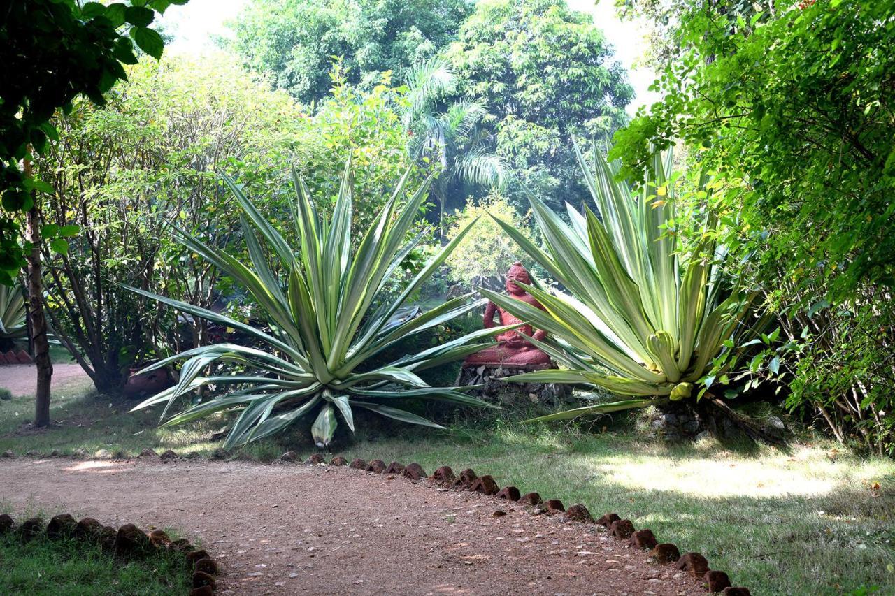 Khawāsa Baaz Jungle Resort מראה חיצוני תמונה