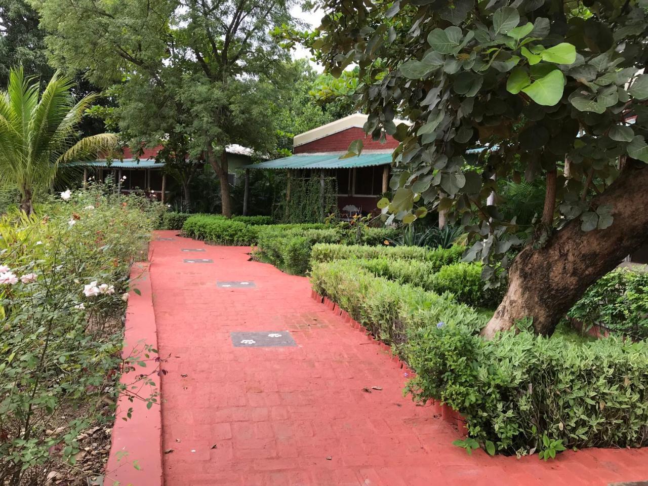 Khawāsa Baaz Jungle Resort מראה חיצוני תמונה