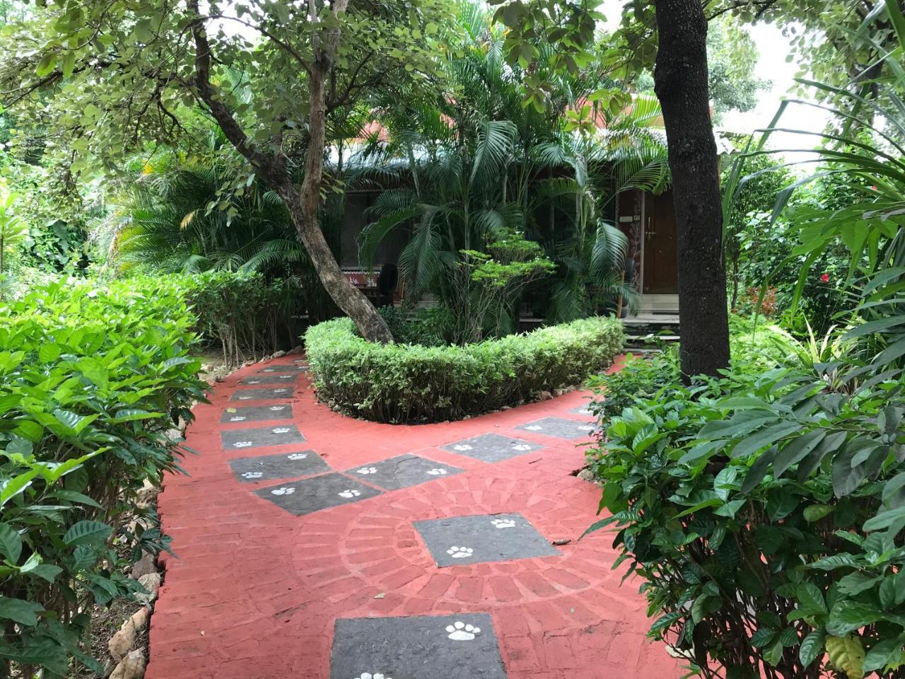 Khawāsa Baaz Jungle Resort מראה חיצוני תמונה